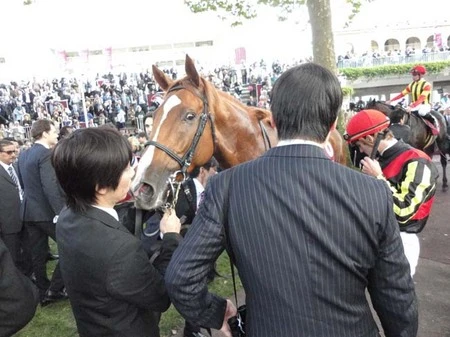 競馬】実現できたオルフェvs世界最強馬。海外遠征に求められる新たな